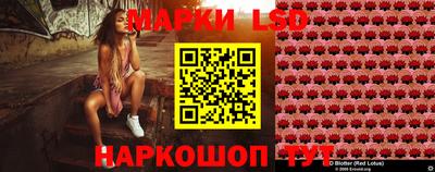 PSILOCYBIN Балахна