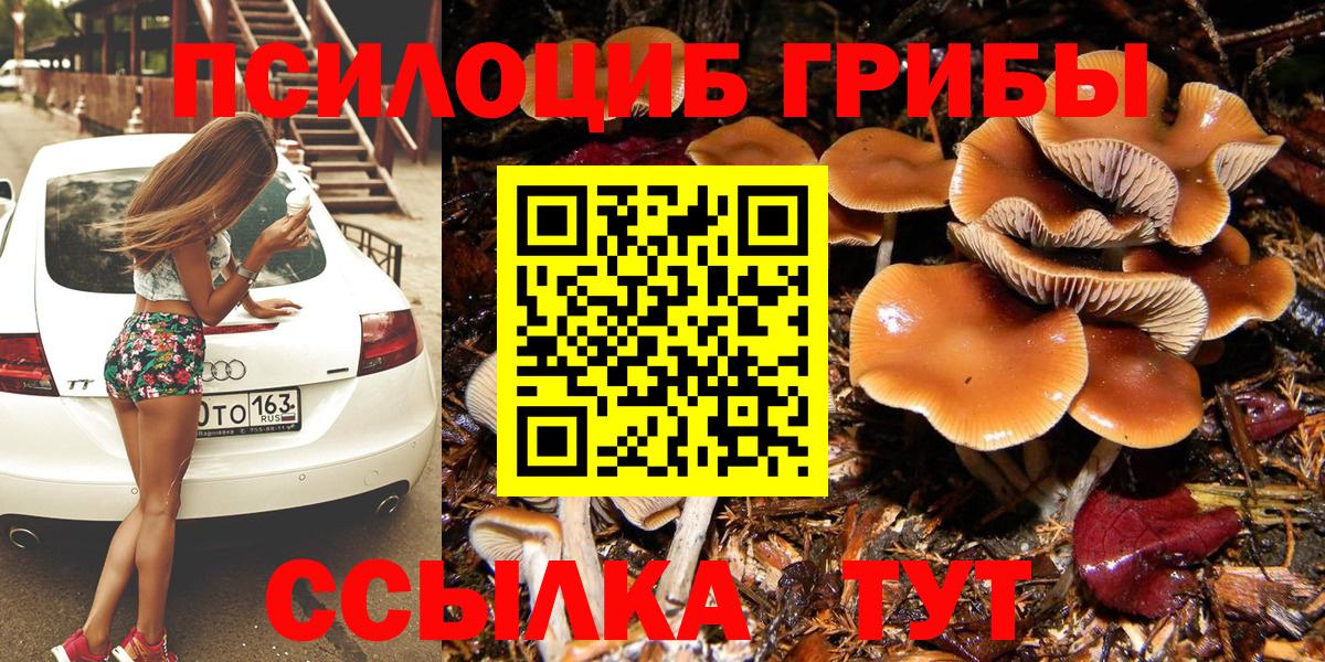 Галлюциногенные грибы Magic Shrooms Бугуруслан