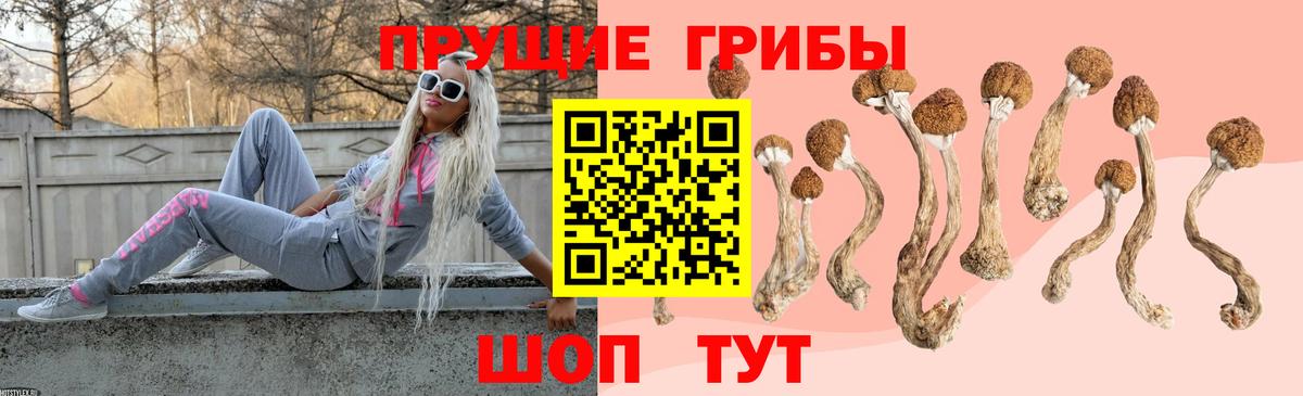 Галлюциногенные грибы Psilocybine cubensis  Вход с VPN  Бугуруслан  Галлюциногенные грибы Psilocybine cubensis 